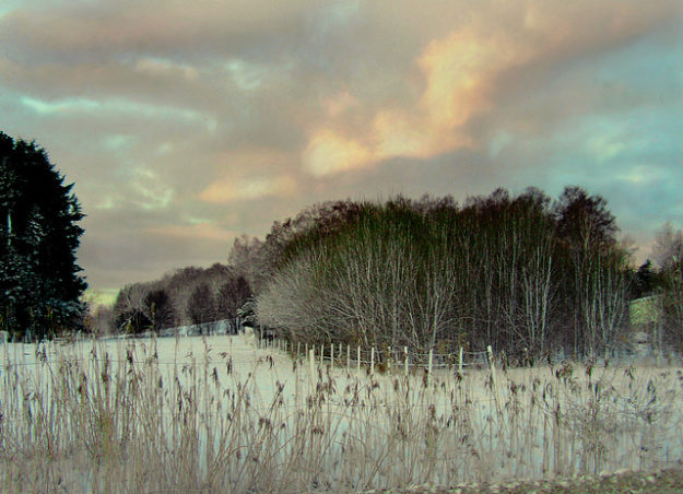 Cold Day - Per Ola Weiberg
