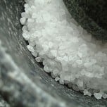 forbidden-food