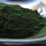 chlorella