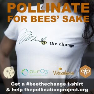 POLLINATEMEME