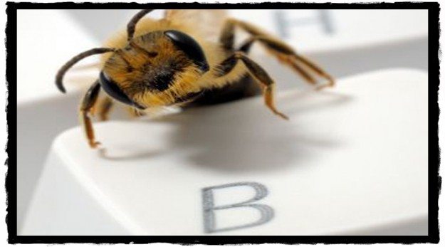 buzzworthy#3+border