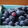 Apr1_blueberries