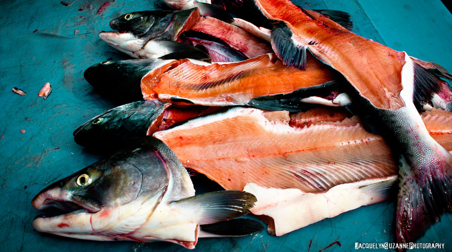 Your Salmon Is Dyed Pink, Find Out Why HoneyColony