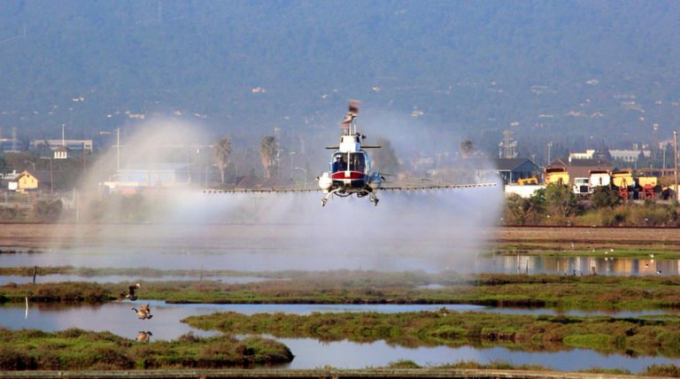 Developmental Disorders Increased By Pesticide Exposure