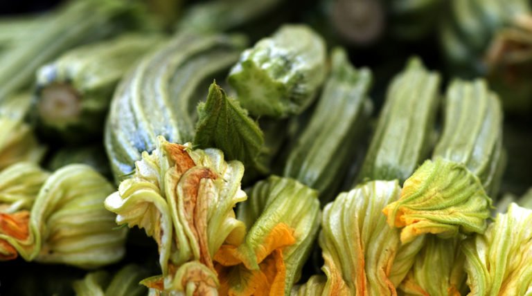 Aug. 8 Is National Zucchini Day!