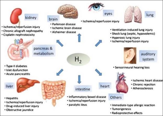 molecular hydrogen supplement