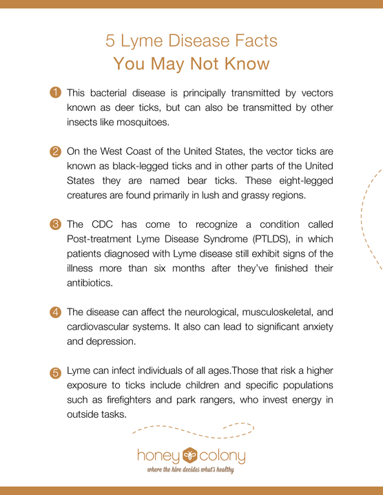 chronic lyme disease