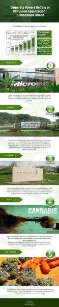 Marijuana Myths