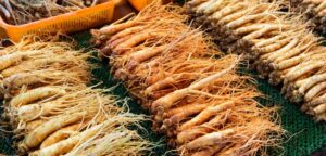 selling Ginseng Benefits