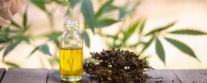cbd extract for purchasing cbd